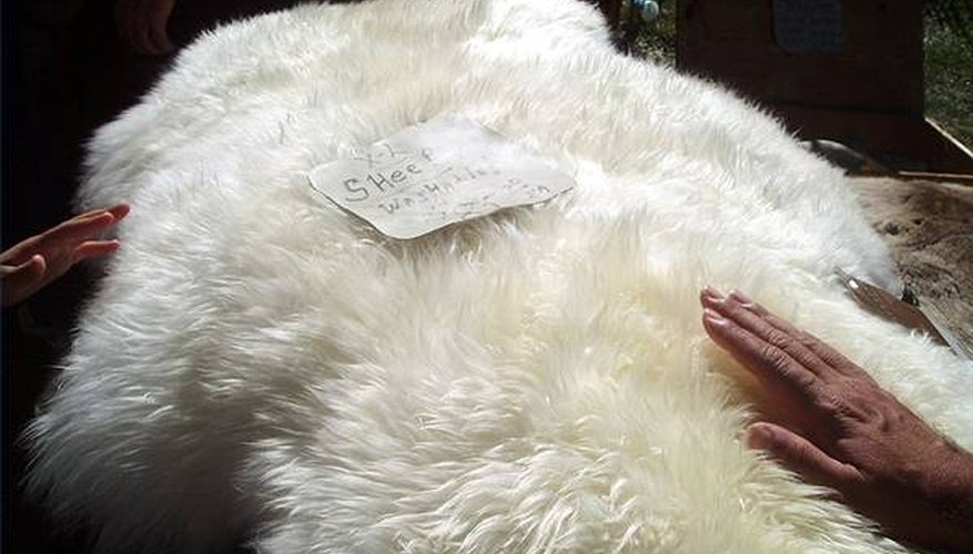 How to Tan Sheepskins