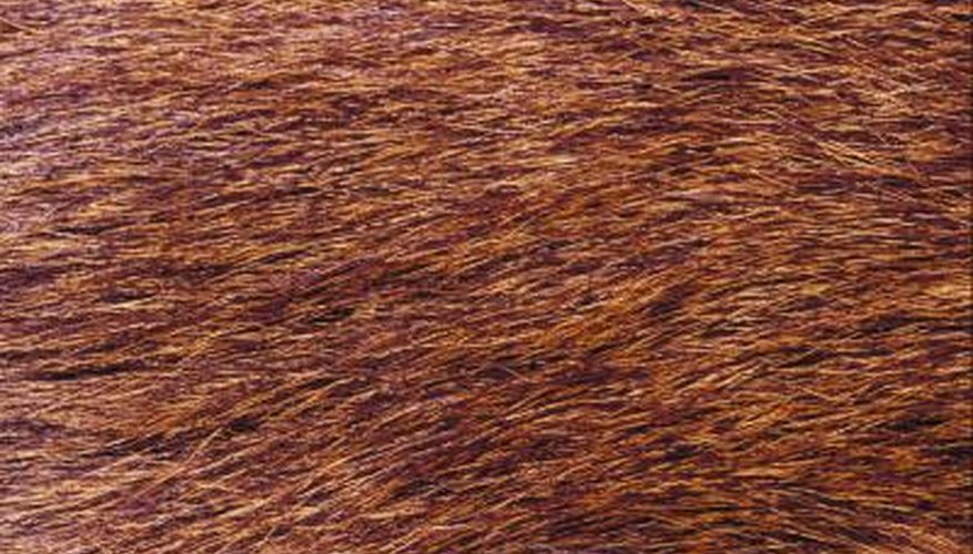 Fast Ways to Remove Hair From a Deer Skin