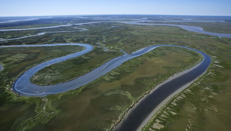 Temporary Nonresident Fishing Licenses in Georgia