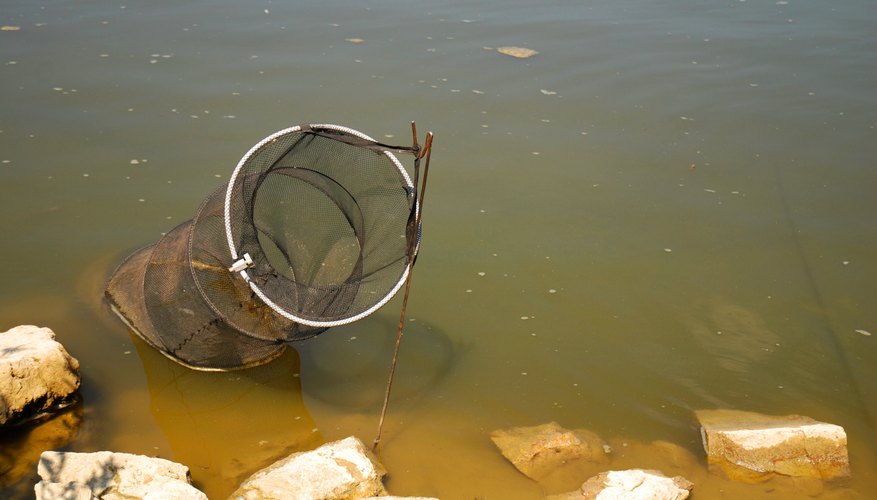 Tips on Fishing Hoop Nets