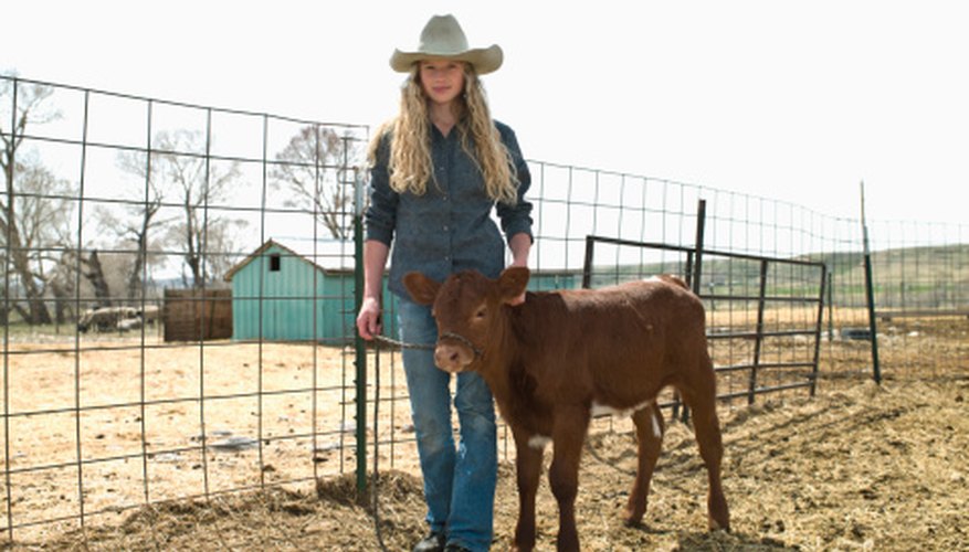 How to Cut a Cattle Panel