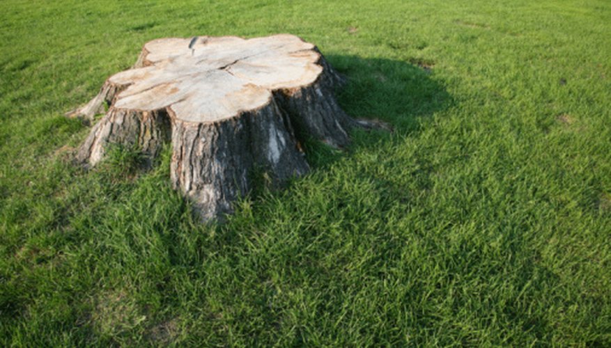 How to Pull Tree Stumps With a Tractor