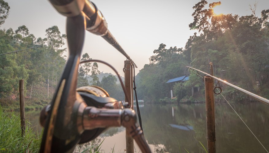 How to Fix a Fishing Reel That Won't Reel In