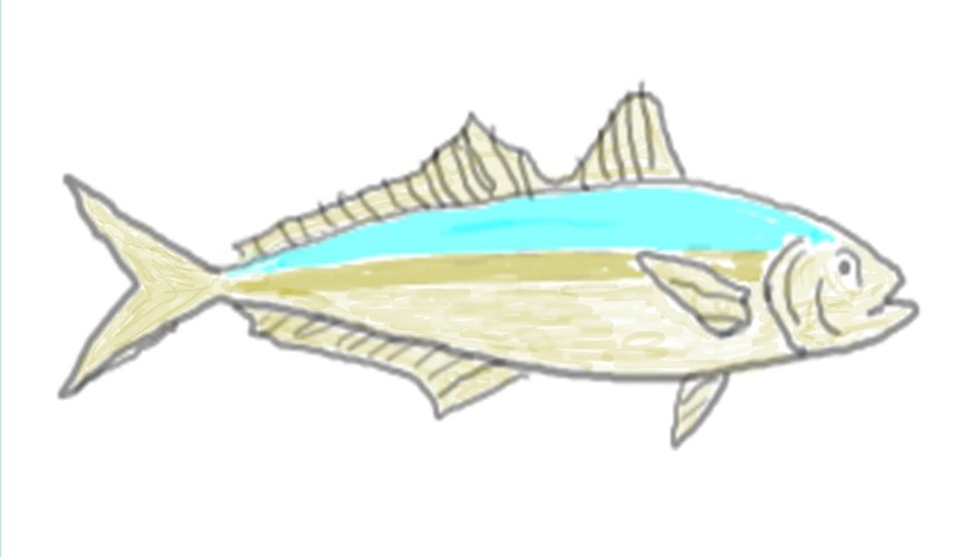 How to Catch Cigar Minnows With Gold Hooks