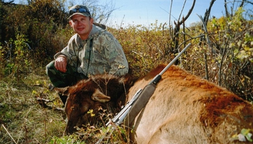 How to Gut an Elk