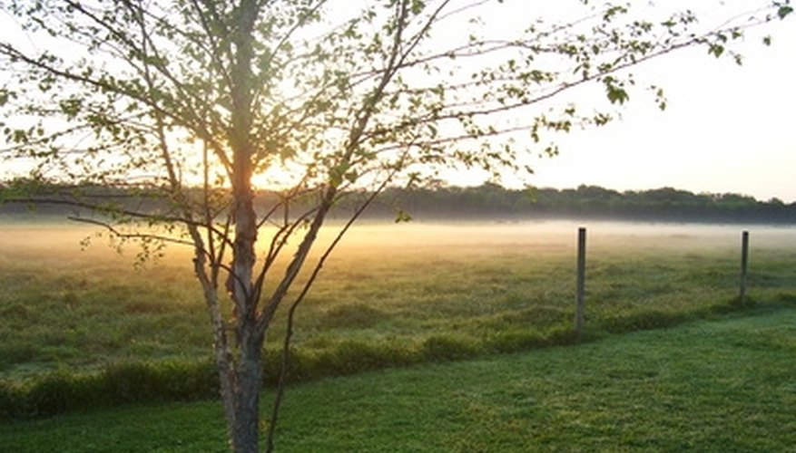 Cheap Hunting Packages in Texas