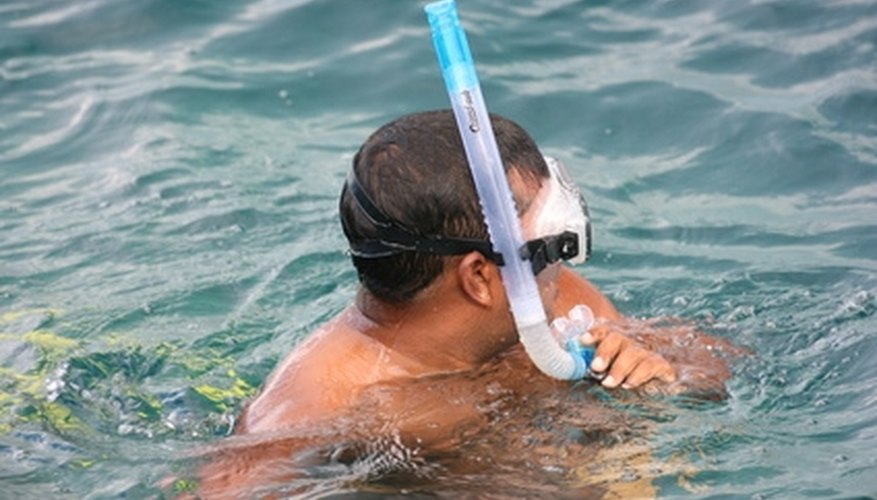 How to Attach a Snorkel to a Mask