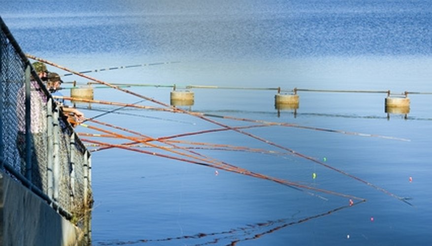 How to Tie a Fishing Line on a Cane Pole