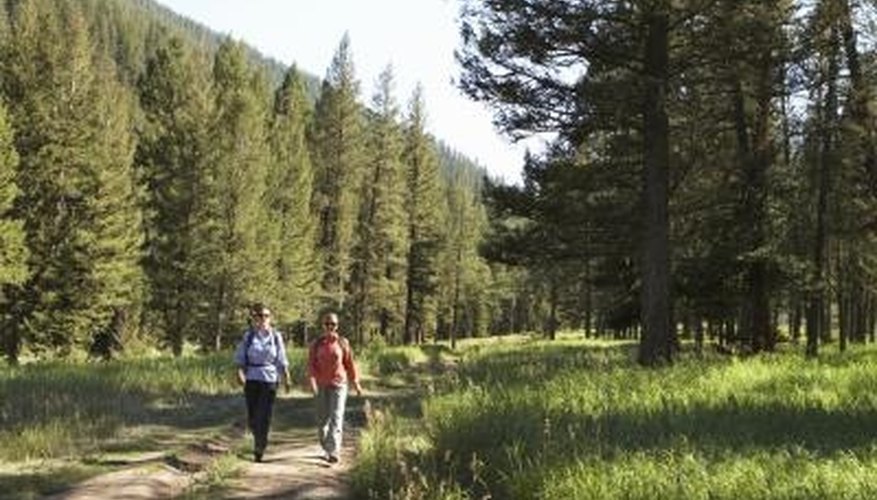 How to Make a Homemade Path in the Woods