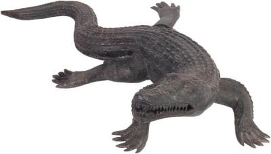 How to Tan Alligator Hides at Home