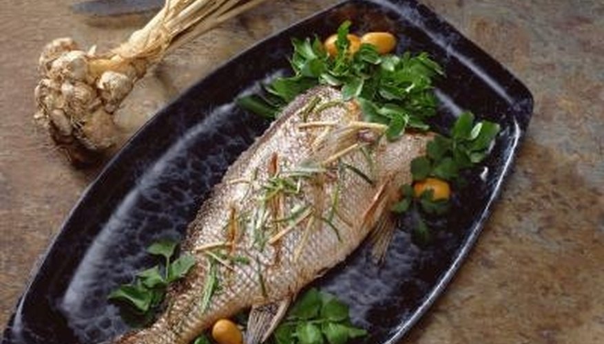 How to Raise Tilapia in Drums
